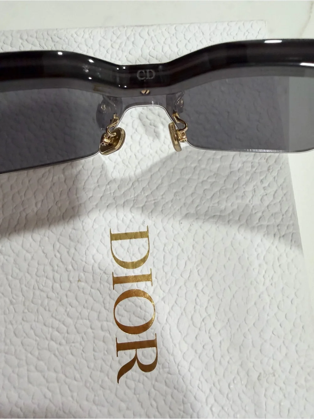 Dior modern shield